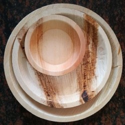 Areca Leaf Plant 22Cm