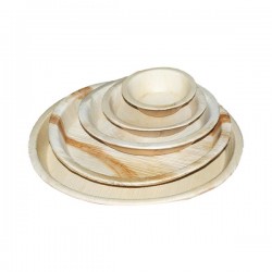 Areca Leaf Plate 24X24