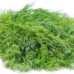 Baby Dill Leaves 1Ct