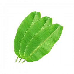 Banana Leaves 1Lb