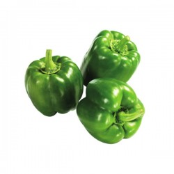 Bell Pepper Green 1Lb