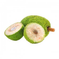 Bread Fruit 1Lb
