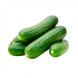 Cucumber Persian 1 Lb Cucumber Persian 1 Lb