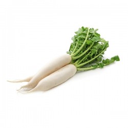 Daikon 1Lb Daikon 1Lb