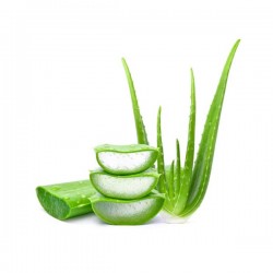 Aloe Vera 1Lb