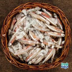 Anchovy/ Nethili