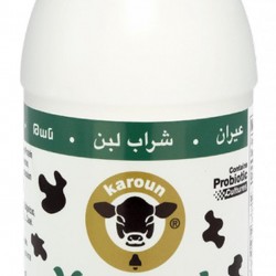Karoun Yogurt Drink 1Pint