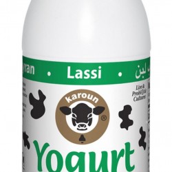 Karoun Yogurt Drink Mint