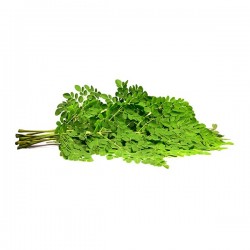 Drumstick Leaves 1Bunch