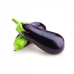 Eggplant American 1Pc
