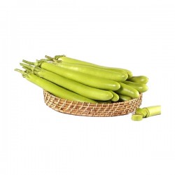 Eggplant Green Long 1Lb