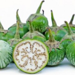 Eggplant Thai 1Lb