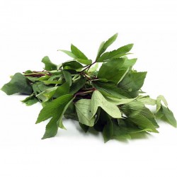 Gongura Leaf 1 Bunch