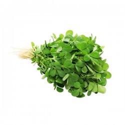 Methi Leaves 1 Bunch