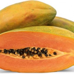 Papaya Maradol Papaya Maradol