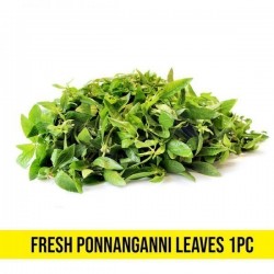 Ponngani Leaf 1 Pc