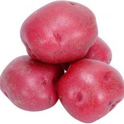 Potato Red 1Lb