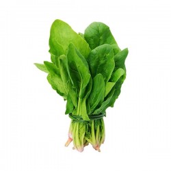 Spinach 1 Bundle