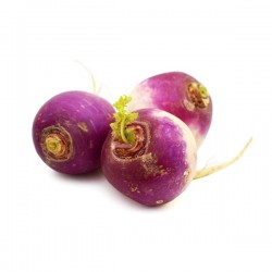 Turnip 1Lb