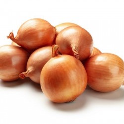 Wholesale Yellow Onion 50Lb