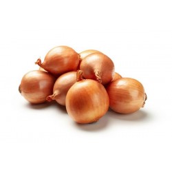Wholesale Yellow Onion 50Lb