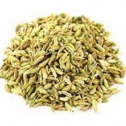 Fennel Seeds
