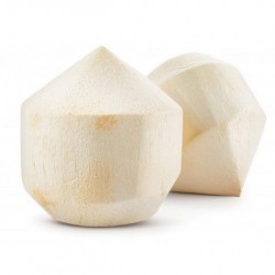 Sun Rich Young Coconut