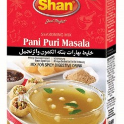 Panipuri Masala 100G