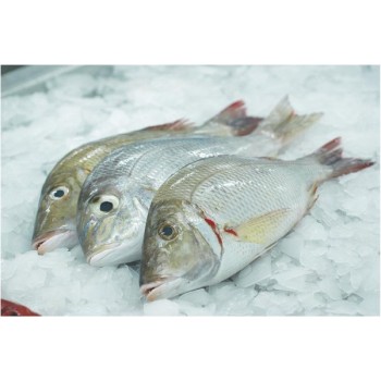 EMPEROR/VELA MEEN