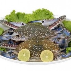 Indian Fresh Crab