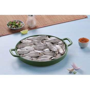 INDIAN RIVER SHAD-CHAPILA
