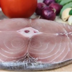 Indian Vanjaram (King Fish)