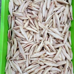 Ob Anchovy Dressed 2Lb