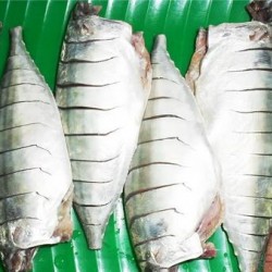 Og Indian Mackeral Pan Ready