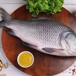 Rohu Small 1.5Kg&Up Emerald