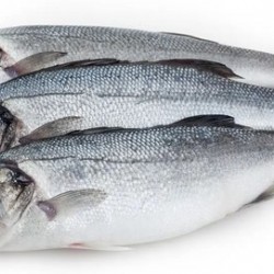 Sea Bass/Koduvai/Nari Meen