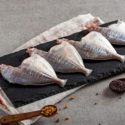 Silver Belly/ Kaarai Podi