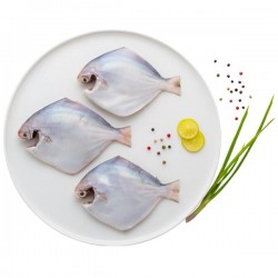 Silver Pomfret Frozen