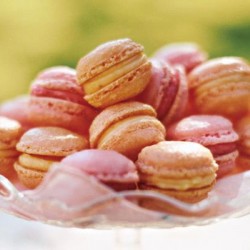 Indulge Almond Macarons