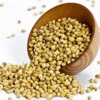 KERAMILL CORIANDER SEEDS