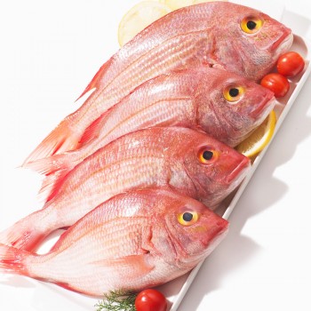 Anchovy, Nethili, Nethallu, Manangu, Kati