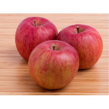 APPLE FUJI 1LB