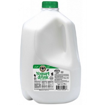 KAROUN MINT YOGURT DRINK 1GAL