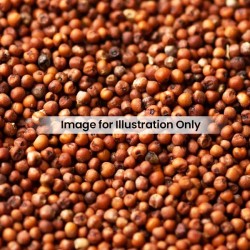 Kodo Millet 910G