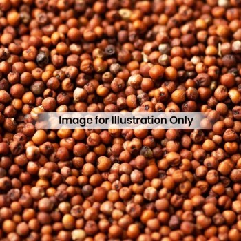 SAMARTH KODO MILLET 910g