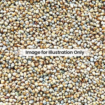 SAMARTH PEARL MILLET 910g