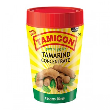 TAMICON TAMARIND CONC 454G