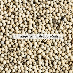 White Pepper Whole