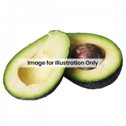 Avacado