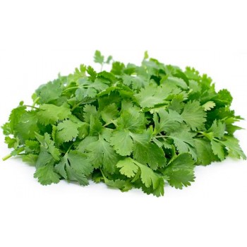 CILANTRO each